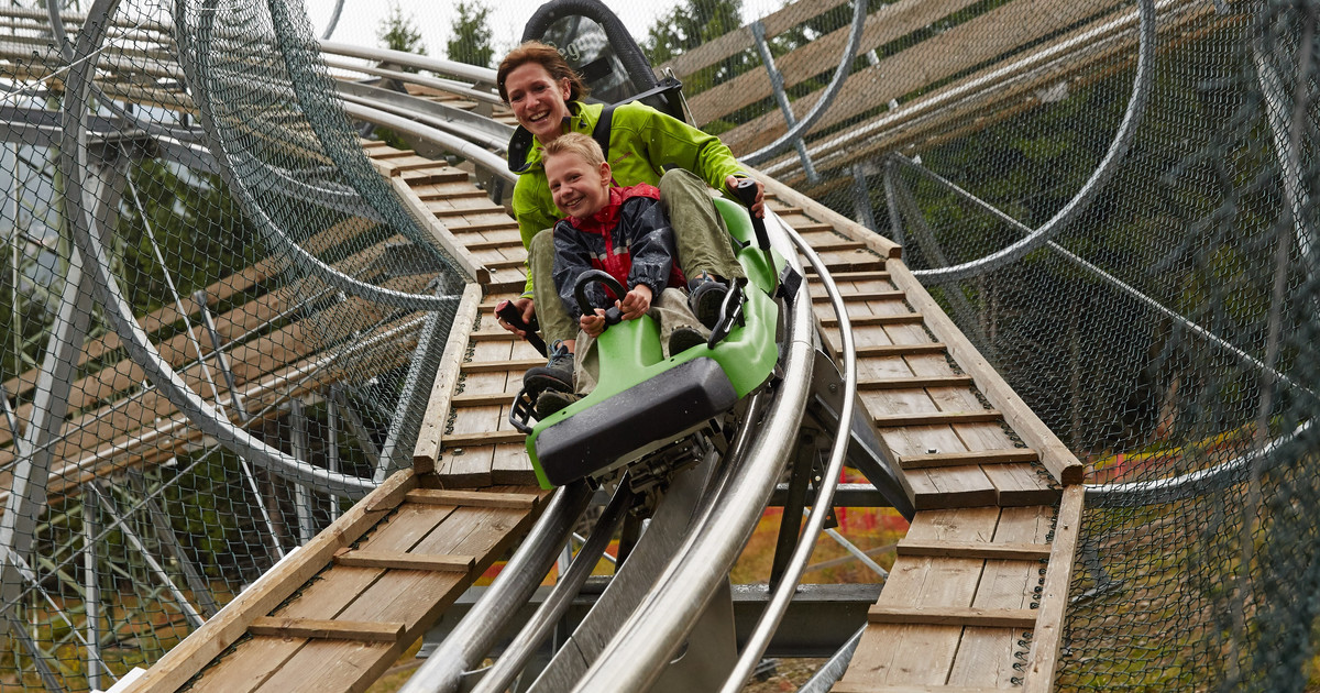 Böckchen Spiele-Land – Bild 3