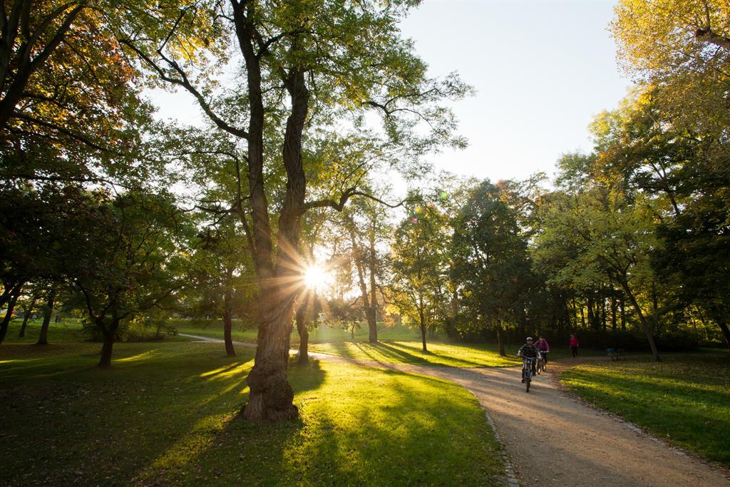 Karl-Bittel-Park – Bild 2