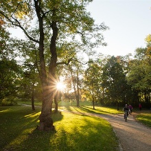 Karl-Bittel-Park – Bild 4
