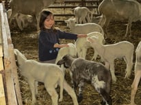 Hofladen Schäferei-Ponyhof-Bitterer – Bild 4