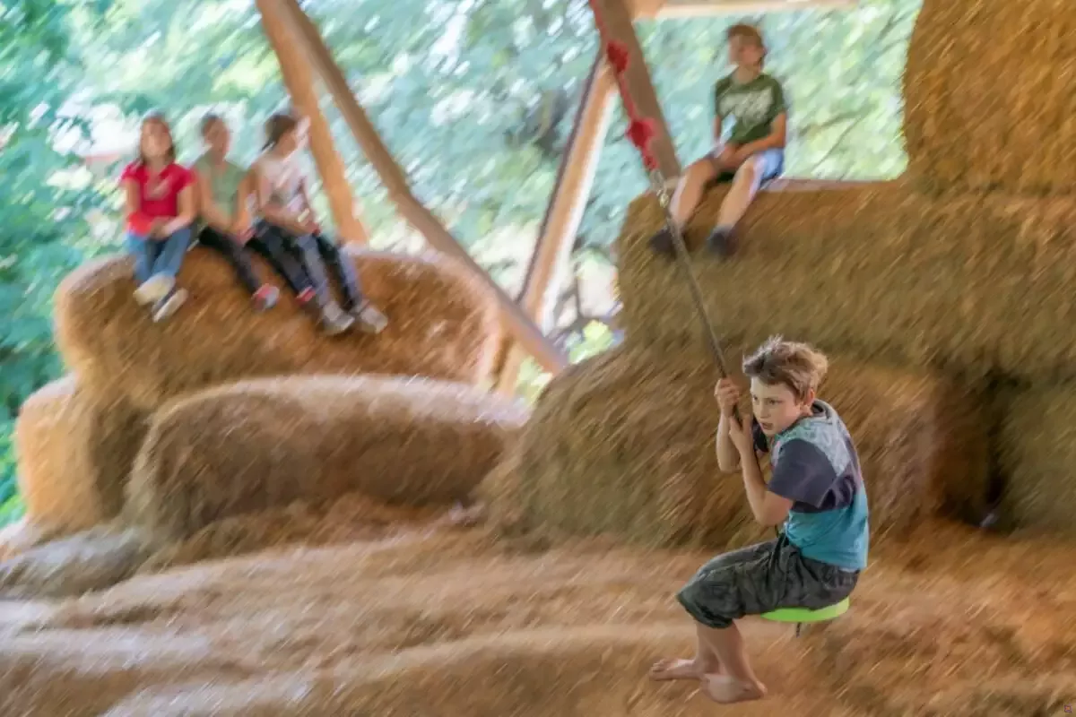 Ferienhof Poggendiek – Bild 2