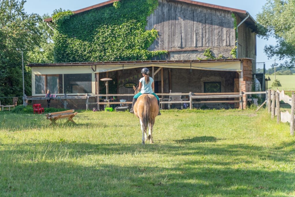 Ferienhof Poggendiek – Bild 4