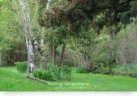 Rotary Park – Bild 5