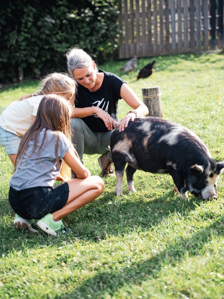 Schweinegut – Bild 3