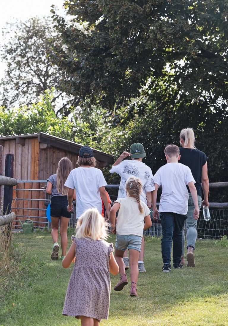 Schweinegut – Bild 5