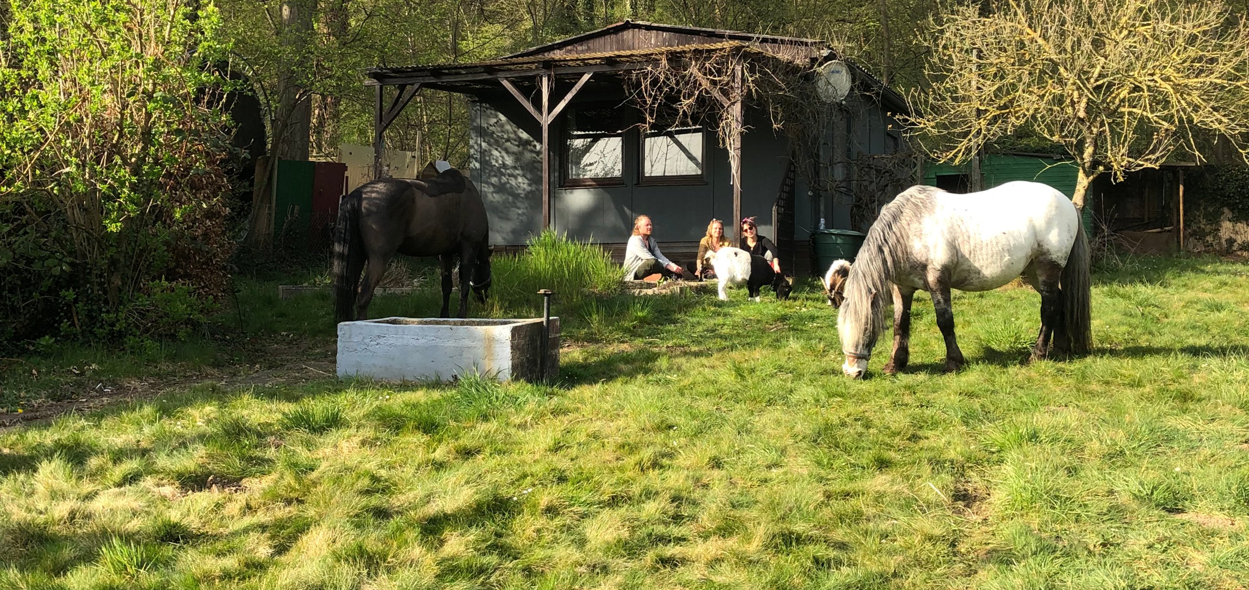 Eichwaldhof e.V. – Bild 2