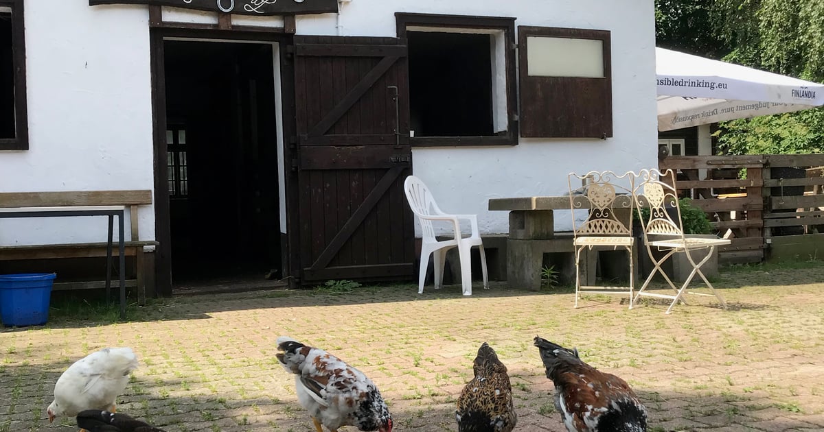 Eichwaldhof e.V. – Bild 4