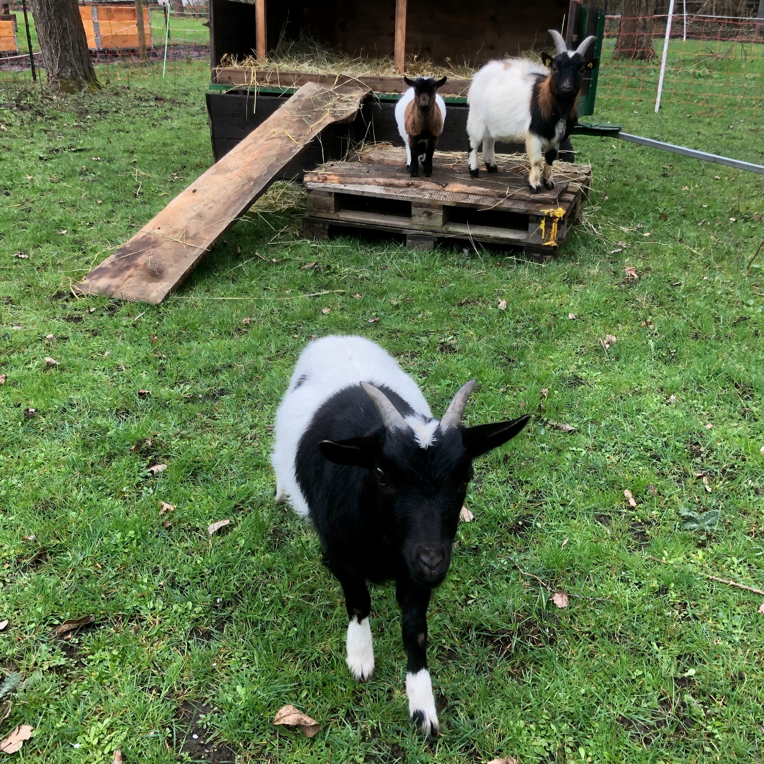 Eichwaldhof e.V. – Bild 6