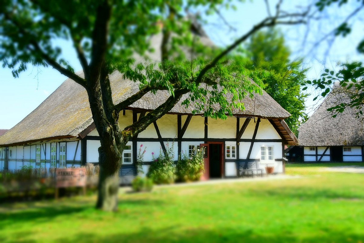 Museumsbäckerei Klockenhagen – Bild 4