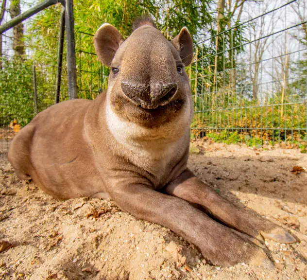 Zoo Dortmund – Bild 4