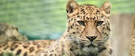 Zoo Dortmund – Bild 6