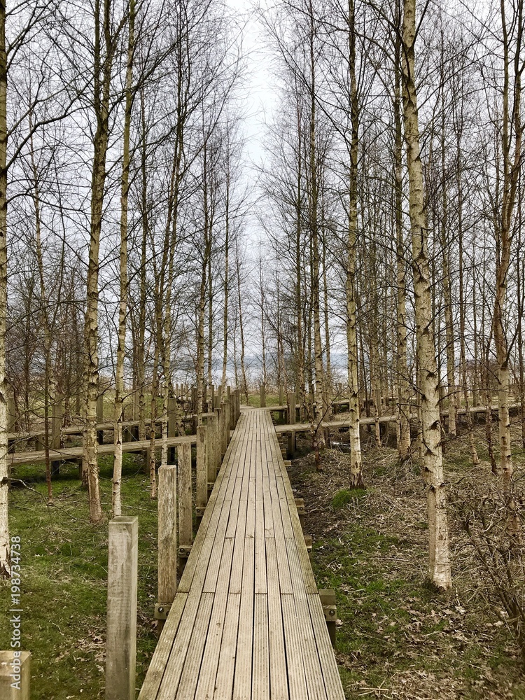 Stadtpark Königswiesen – Bild 2