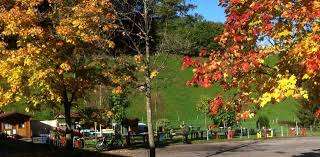 Pit Pat Outdoor Anlage – Bild 2