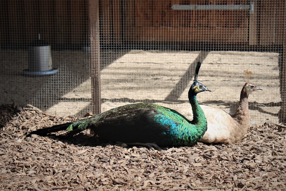 WIRGARTEN Fulda – Bild 2