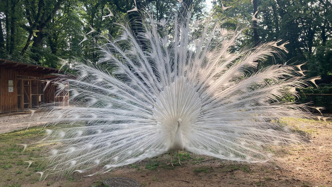 WIRGARTEN Fulda – Bild 4