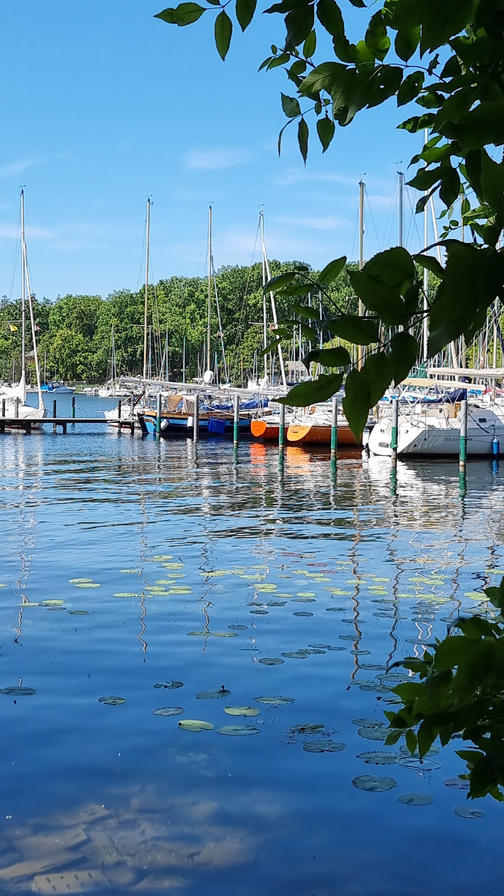 Beachvolleyballplatz Freizeitpark Tegel an der Malche – Bild 2