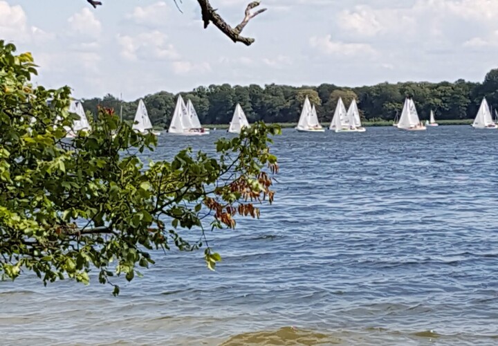 Beachvolleyballplatz Freizeitpark Tegel an der Malche – Bild 5