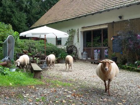 Kreativwerkstatt - Hof Stock – Bild 4