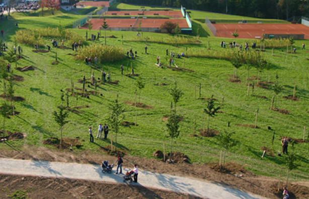 Ginkgogarten Vilshofen – Bild 2