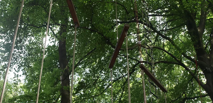 Hochseilgarten Wuppertal – Bild 5