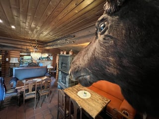 Café Finlandia Bünde – Bild 3