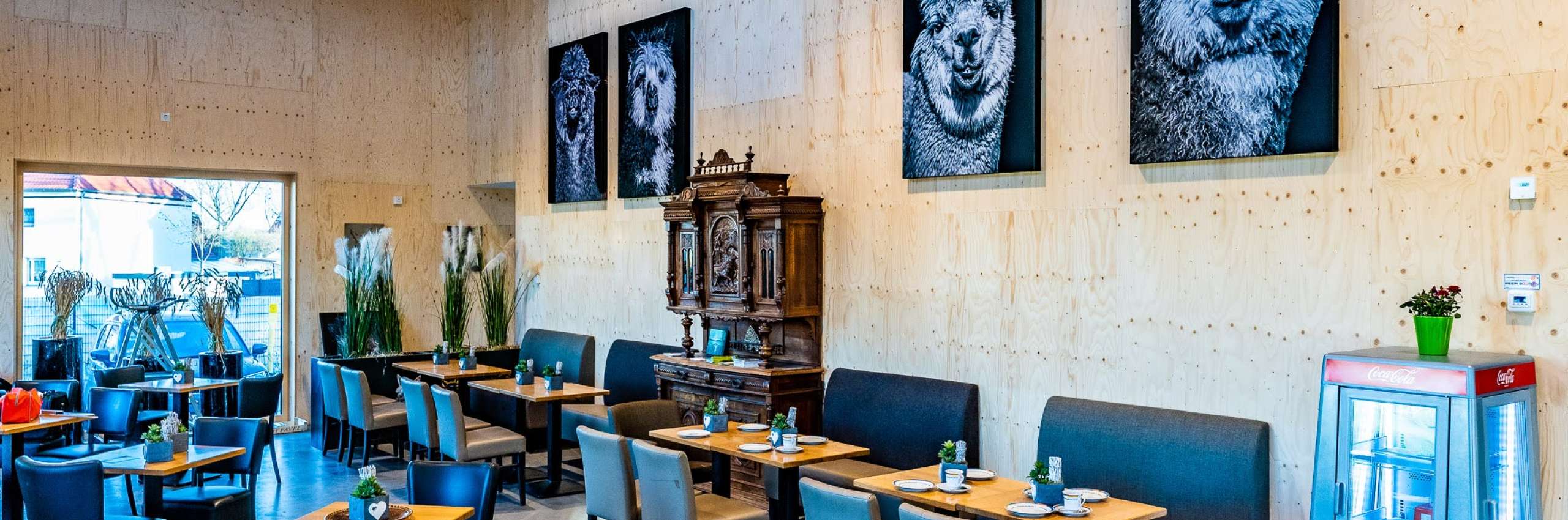 KALISTO Tierpark & Café – Bild 3