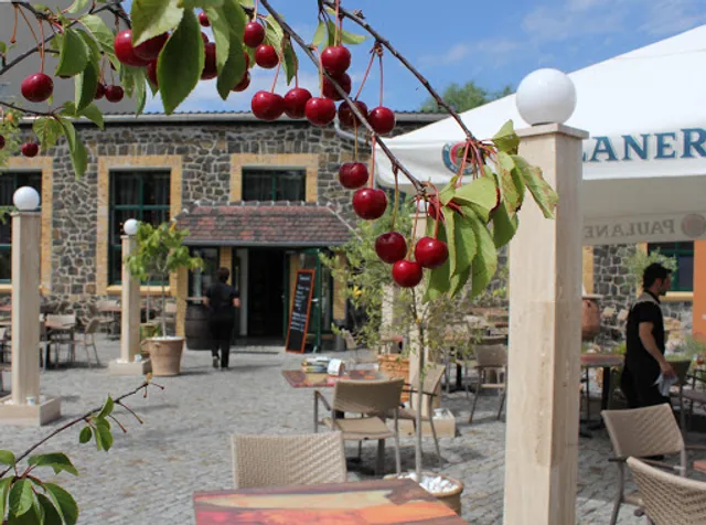 Gaststätte Rodelbahn Wurzen – Bild 4