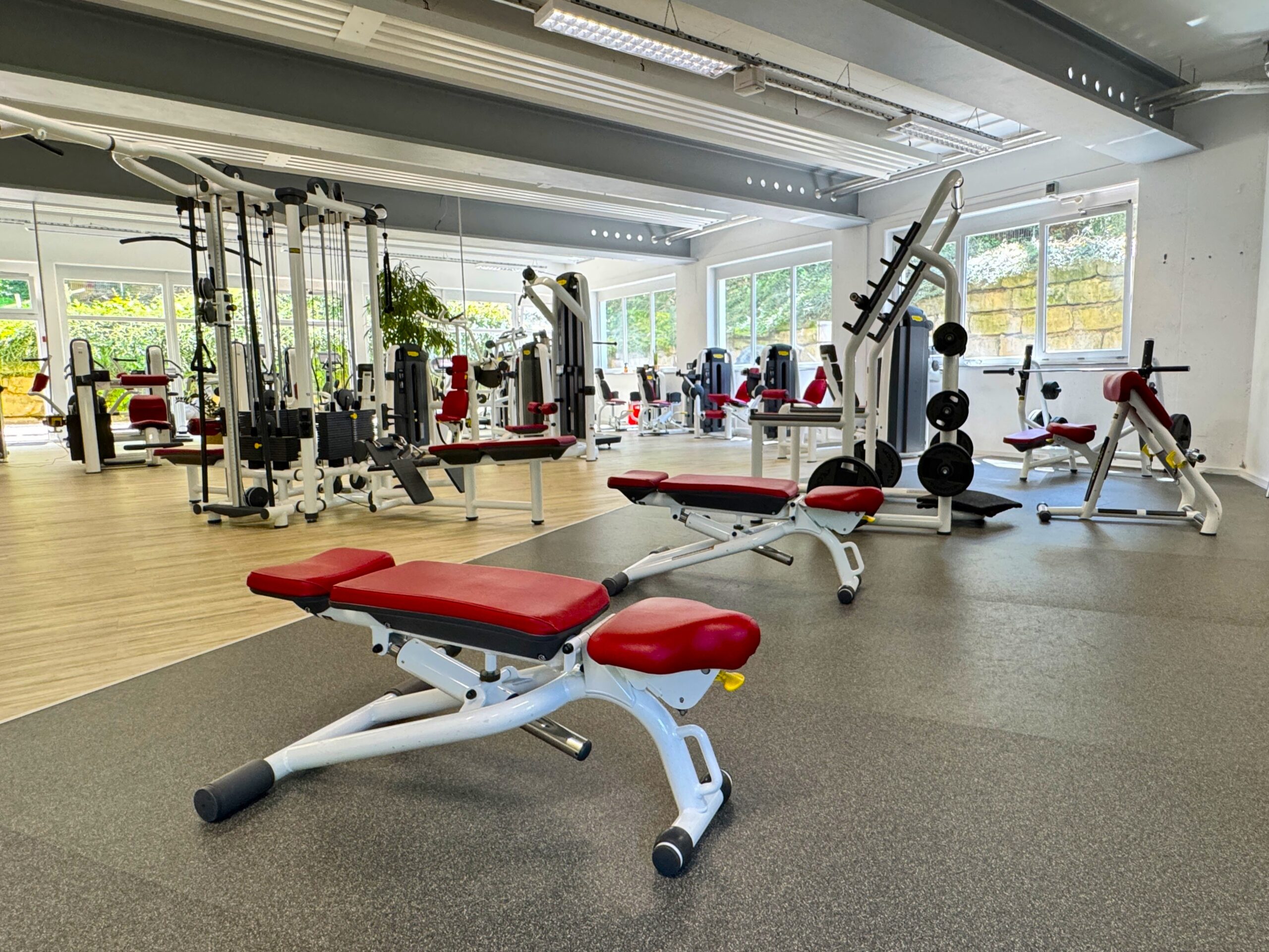 MTV 1846 e.V. Ludwigsburg – Bild 4