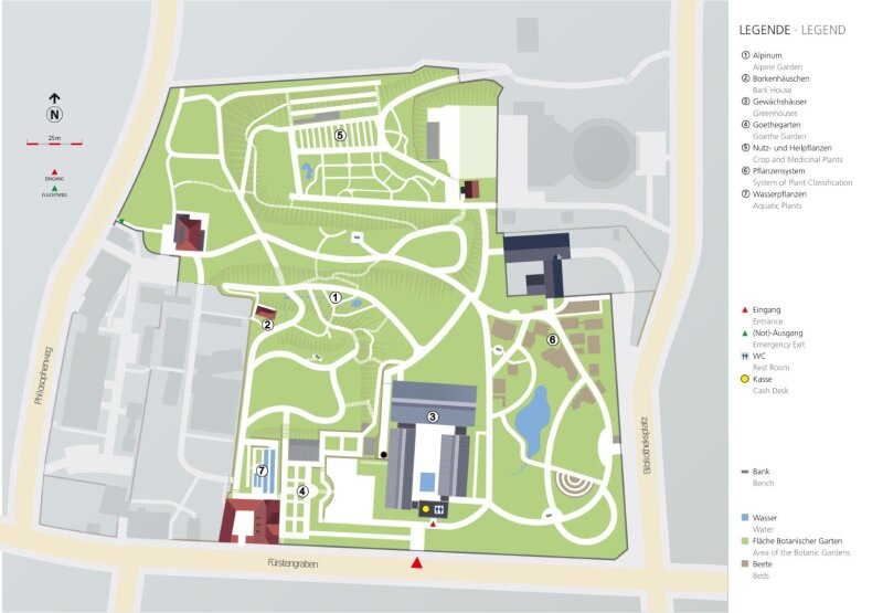 Botanischer Garten – Bild 2