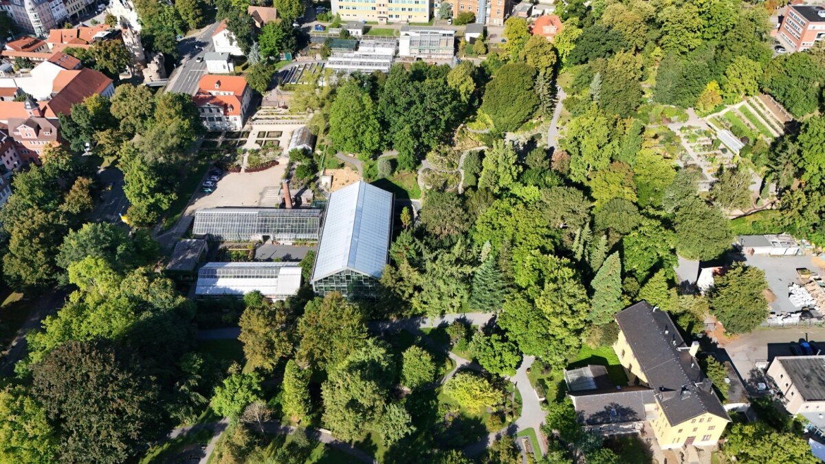 Botanischer Garten – Bild 4
