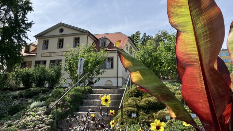 Botanischer Garten – Bild 6