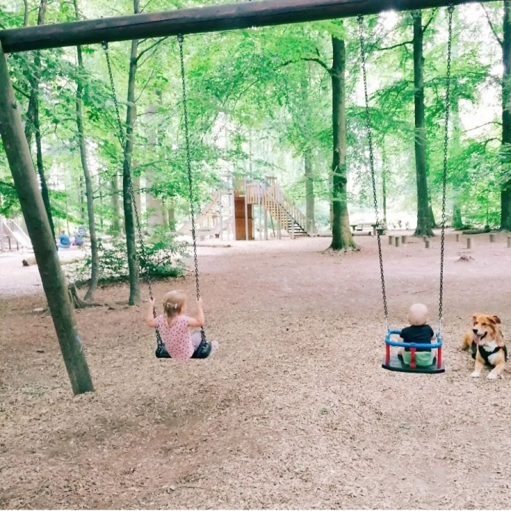 Waldspielplatz Jägerhaus – Bild 3