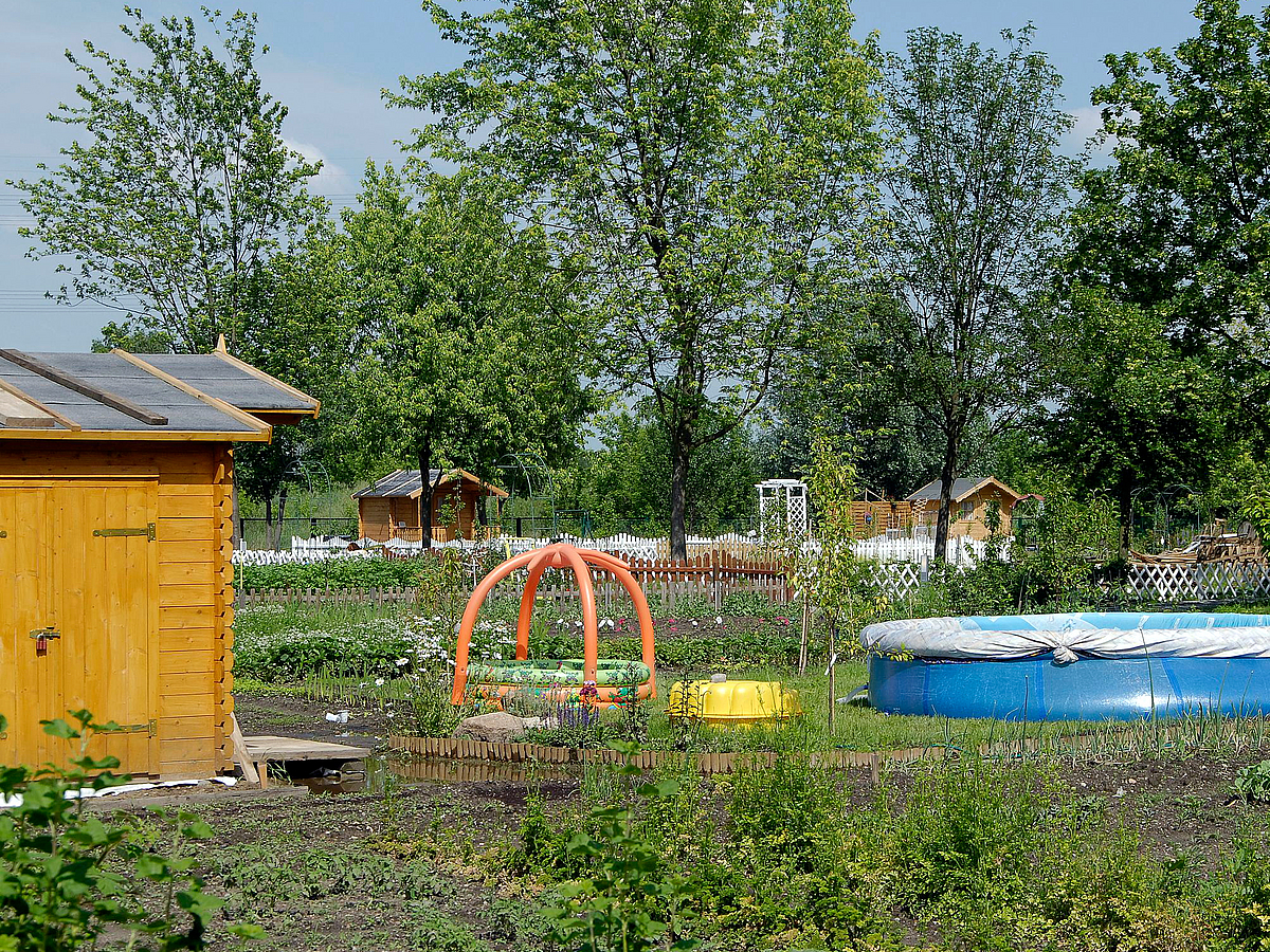 Interkultureller Garten Lichtenberg – Bild 2