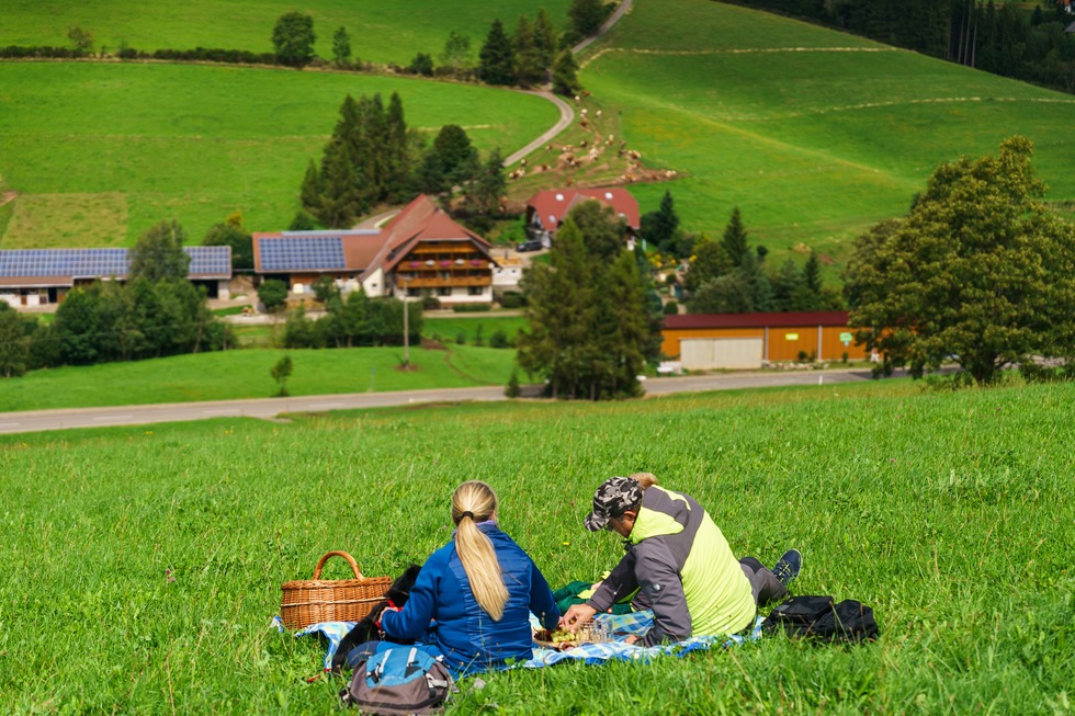 Schweizermichelhof – Bild 2