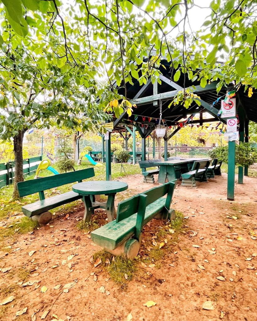 Zoo De Luca – Bild 2