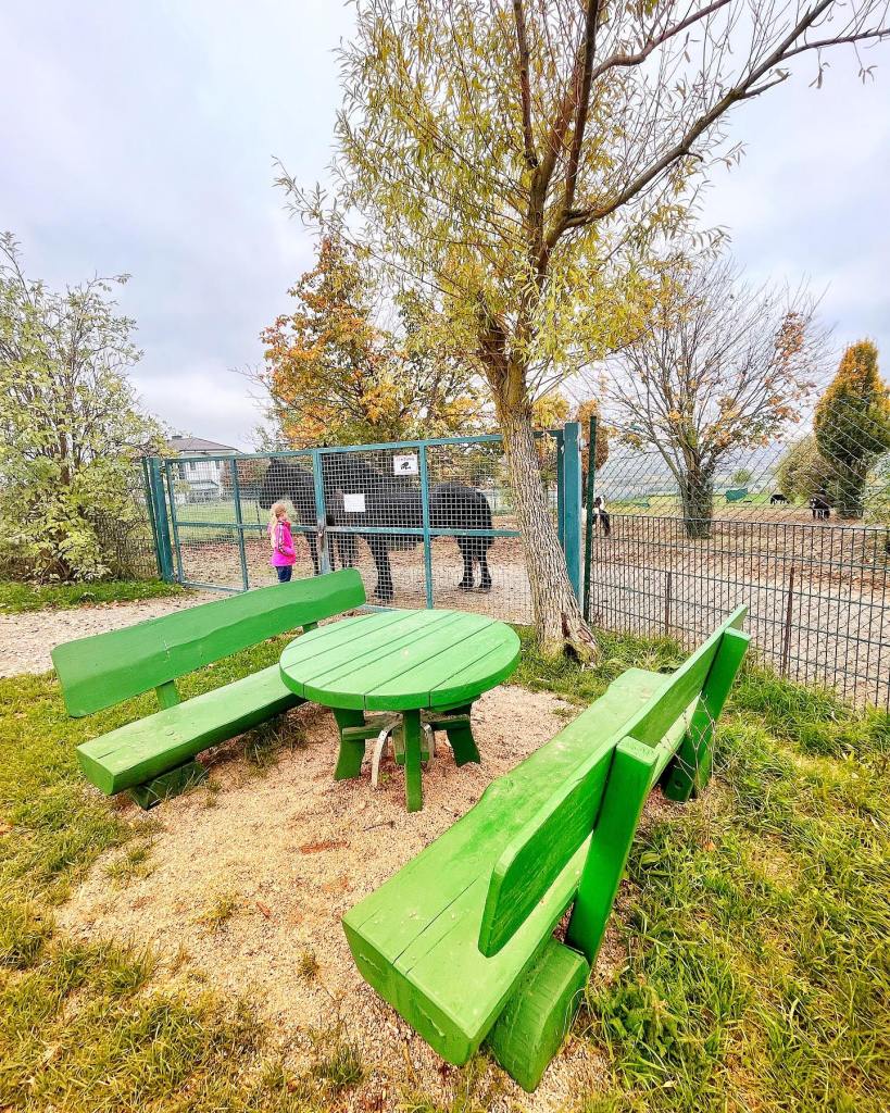 Zoo De Luca – Bild 3