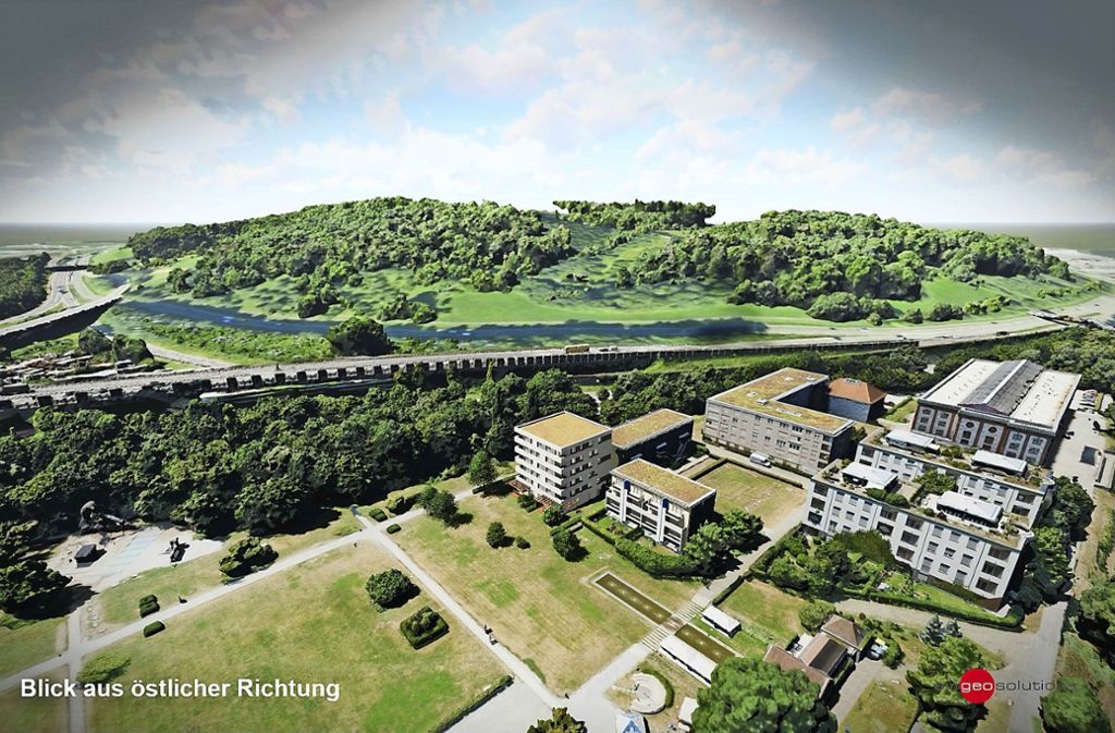 Bruckenwasen – Bild 6