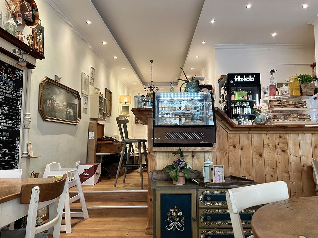 Café Birds – Bild 3