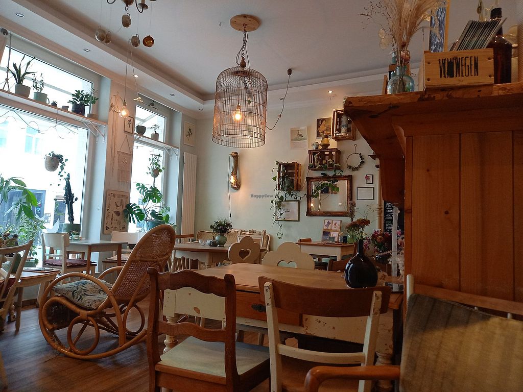 Café Birds – Bild 5