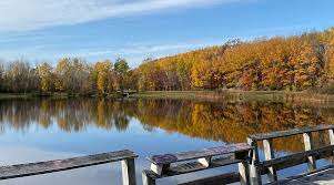 Trenton Park – Bild 5