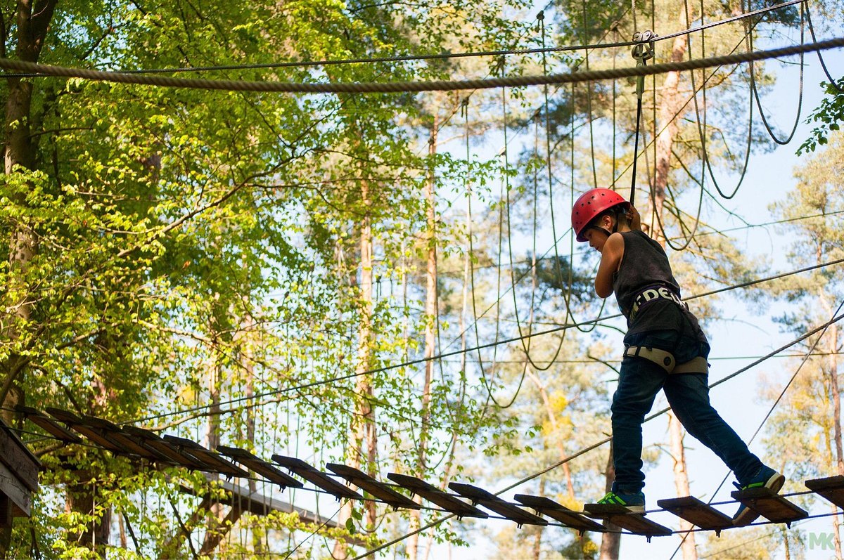 Kletterwald Viernheim – Bild 2