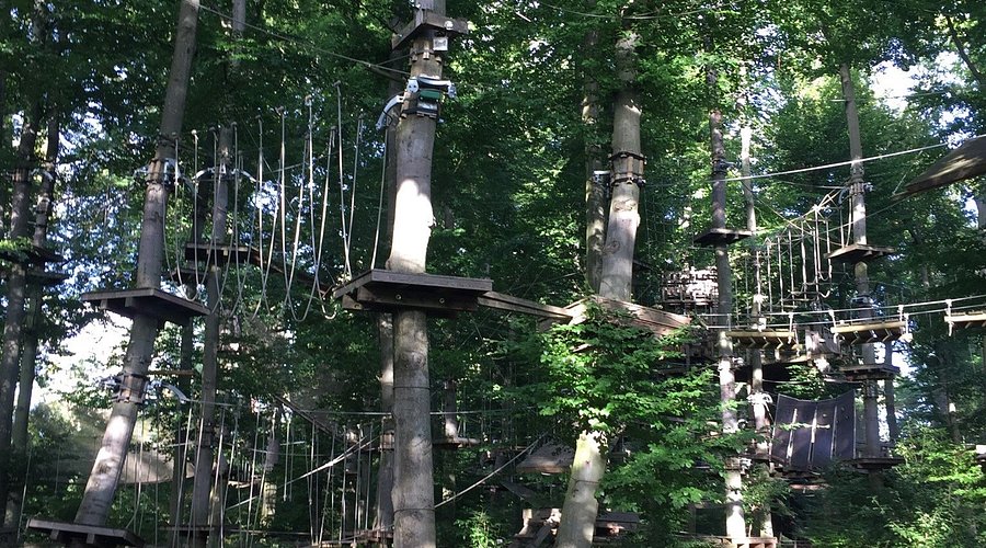 Kletterwald Viernheim – Bild 3