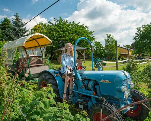Hofcafé Obsthof Schneekloth – Bild 6