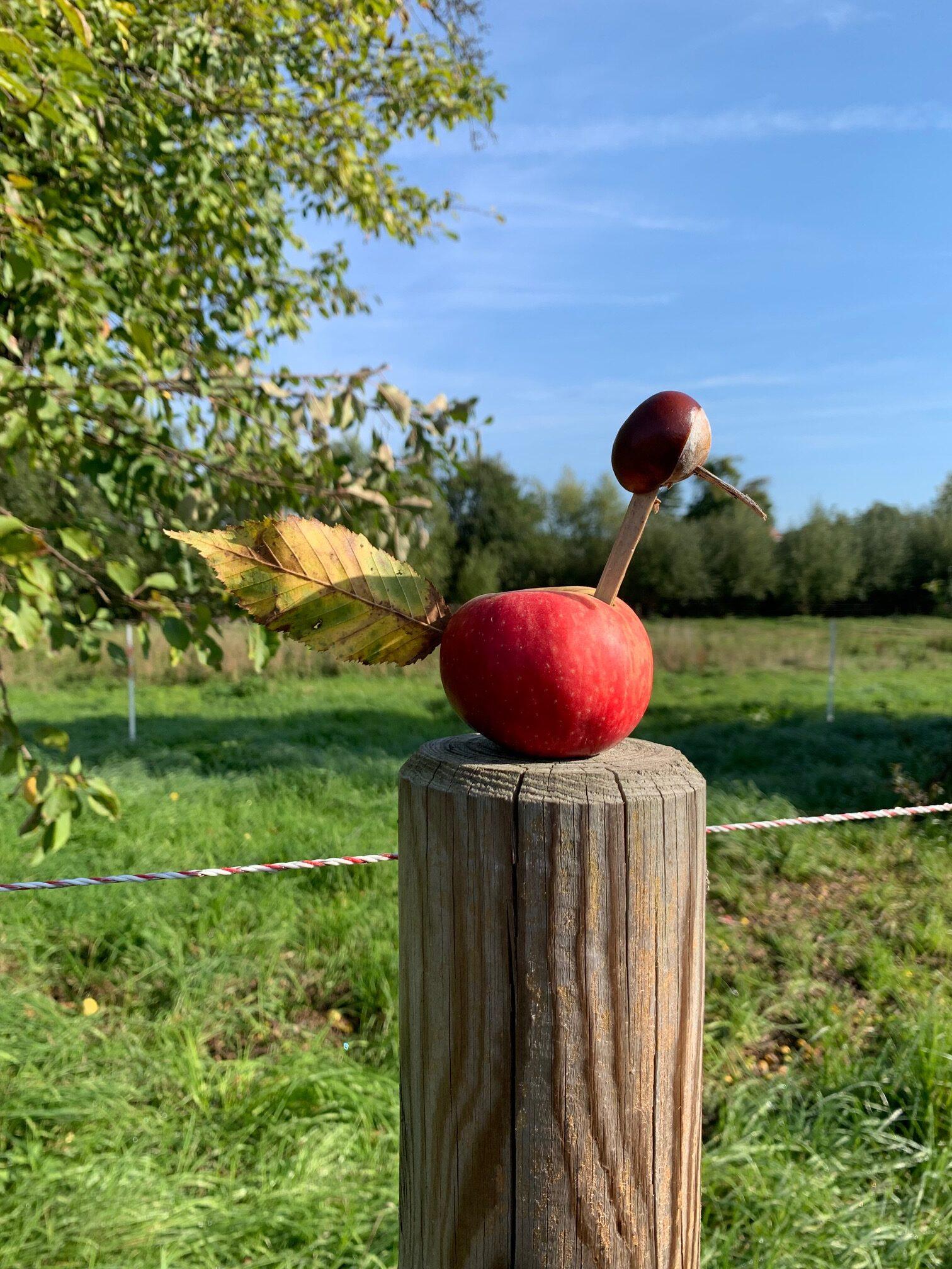 Rauszeit Höfgen – Bild 2