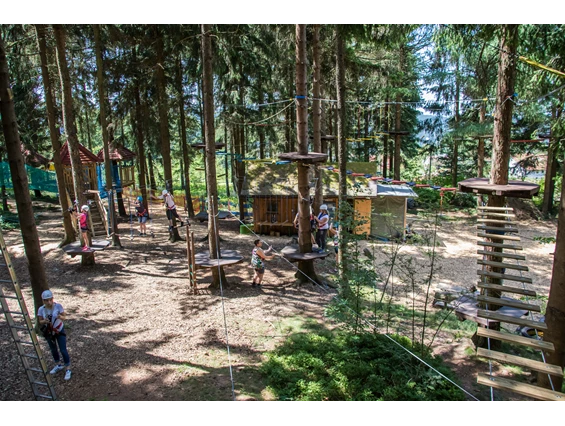 Hochseilgarten Kirchschlag / Ralf & Walter (Anmeldung erforderlich) – Bild 4