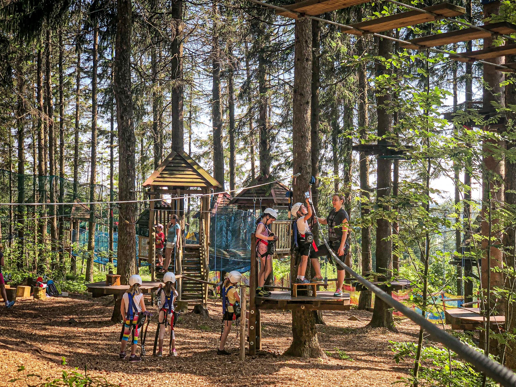 Hochseilgarten Kirchschlag / Ralf & Walter (Anmeldung erforderlich) – Bild 6