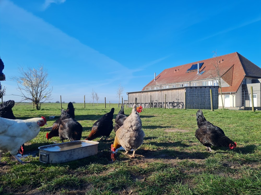 Rügen Ferienhof – Bild 4