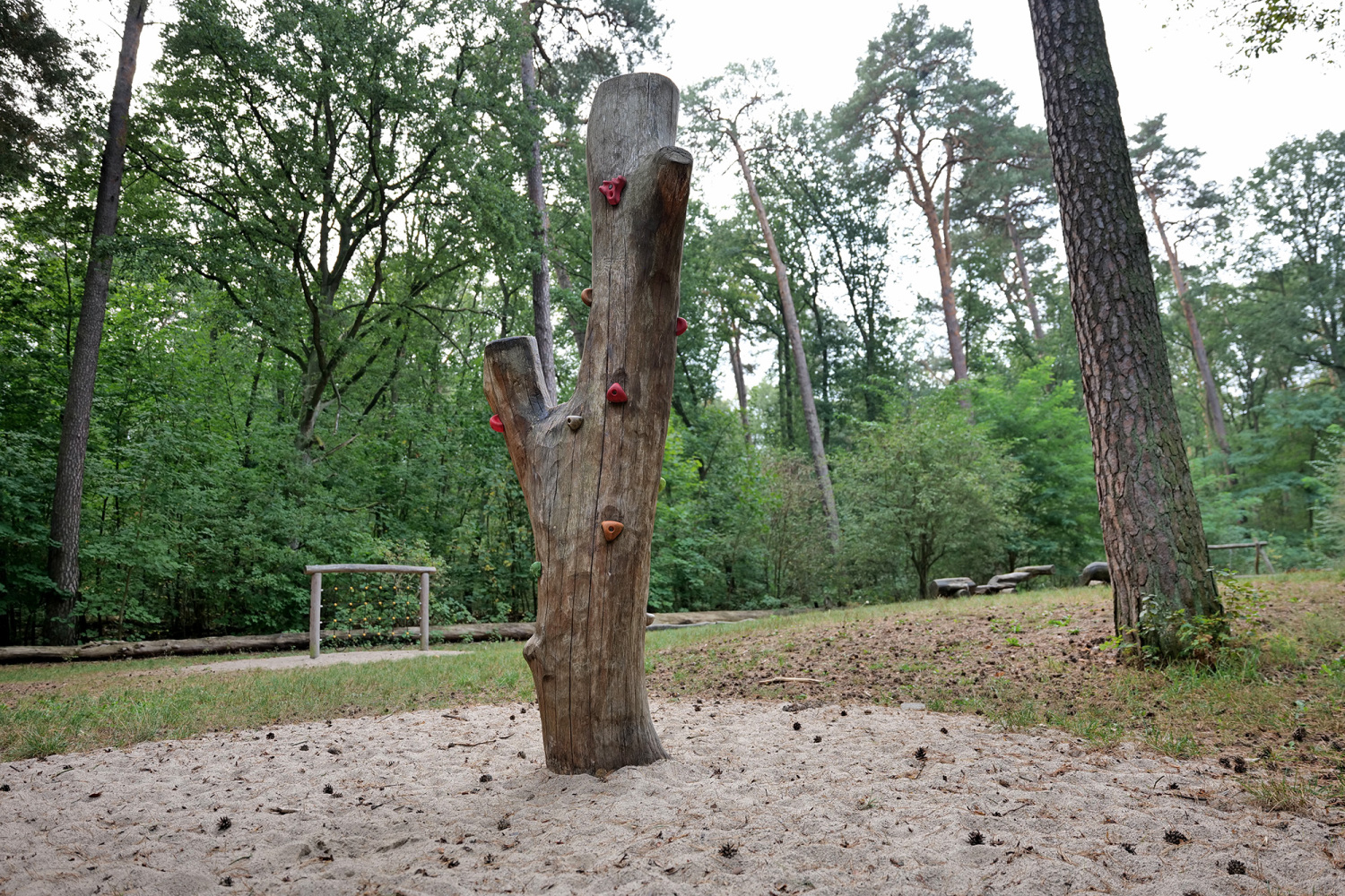 Waldspielplatz – Bild 4