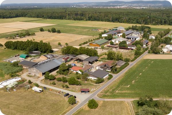 Löw's Milchtankstelle – Bild 1