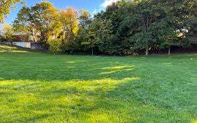 Lambton - Kingsway Park – Bild 5